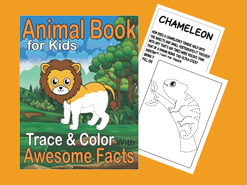 Animal Book for Kids